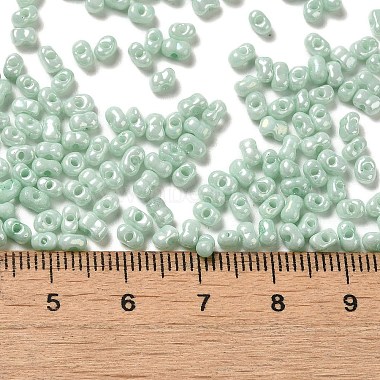 Glass Seed Beads(SEED-K009-02A-04)-4