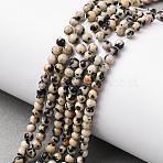 Natural Dalmatian Jasper Beads Strands, Round, 3~3.5mm, Hole: 0.7mm, about 57~64pcs/strand, 7.48''~7.68''(19~19.5cm)(G-Z116-A10-3mm)