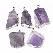 Natural Amethyst Pendants, with Iron Clasps, Mixed Shapes, Platinum, 40~67x23~60x6~8mm, Hole: 7x3mm(G-T099-05P)