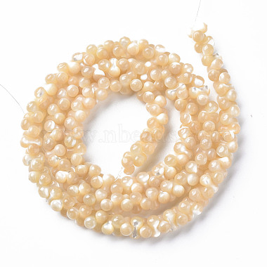 Natural Trochid Shell/Trochus Shell Bead Strands(SSHEL-N034-104-A01)-2