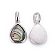 natürliche Abalone Shell / Paua Shellcharms(X-BSHE-F011-03B-P)-2