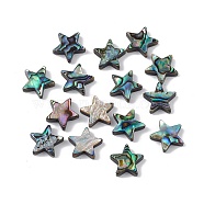 Natural Abalone Shell/Paua Shell Beads, Star, Colorful, 12.5x12.5x3.5mm, Hole: 0.9mm(SSHEL-M021-07)