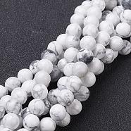Gemstone Beads Strands, Natural Howlite Round Beads, White, about 14mm in diameter, hole: 1mm, about 28pcs/strand, 15.5 inch(X-GSR14mmC015)