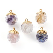 Natural Mixed Gemstone Chip Pendants, with Golden Plated Alloy Bead Caps, Brass Ball Head pins and Glass Globe Bottles, Round, 20x16.5mm, Hole: 2mm(X-PALLOY-JF00593)