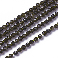 Natural Golden Sheen Obsidian Beads Strands, Faceted, Round, 3~3.5x2.5~3mm, Hole: 0.3mm, about 114~141pcs/strand, 15.1~16.4 inch(38.4~41.8cm)(G-F596-17-3mm)
