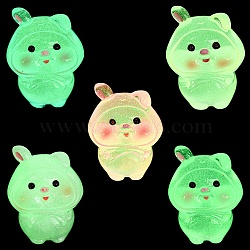 Luminous Resin Pig Display Decoration, Micro Landscape Decorations, Glow in the Dark, Mixed Color, 24.5x31x40.5mm(RESI-G070-01D)