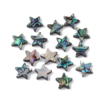 Natural Abalone Shell/Paua Shell Beads, Star, Colorful, 12.5x12.5x3.5mm, Hole: 0.9mm