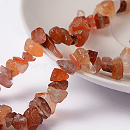 Natural Carnelian Chips Beads Strands, Dyed, 5~8mm, Hole: 0.3mm, 32~34 inch(F017)