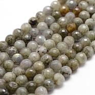 Natural Labradorite Beads Strands, Faceted, Round, 6mm, Hole: 1mm, about 61pcs/strand, 14.9 inch~15.1 inch(G-D840-10-6mm)