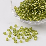 6/0 Round Silver Lined Round Hole Glass Seed Beads, Yellow Green, 4mm, Hole: 1.5mm, about 496pcs/50g(X-SEED-A005-4mm-24)
