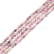 2 Strands Natural Rhodonite Beads Strands, Faceted Round, 3mm, Hole: 0.8mm, about 123pcs/strand, 15''(38.1cm)(G-NB0004-18)