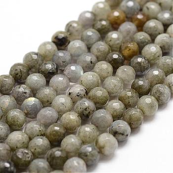 Natural Labradorite Beads Strands, Faceted, Round, 6mm, Hole: 1mm, about 61pcs/strand, 14.9 inch~15.1 inch