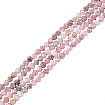 2 Strands Natural Rhodonite Beads Strands, Faceted Round, 3mm, Hole: 0.8mm, about 123pcs/strand, 15''(38.1cm)