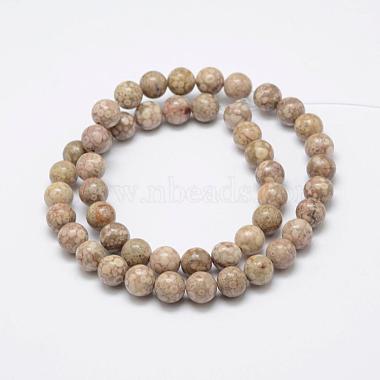 Fossiles naturelle perles de corail brins(G-P325-01-8mm)-2