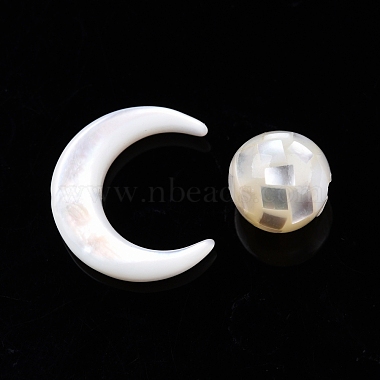 Natural White Shell Beads Set(SSHEL-N032-51-B01)-2