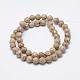 Natural Fossil Coral Beads Strands(G-P325-01-8mm)-2