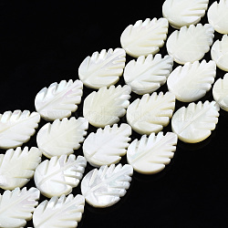 Natural Trochid Shell/Trochus Shell Beads Strands, Bleach, Leaf, White, 17.5~18x13x4mm, Hole: 0.8mm, about 23pcs/strand, 16.02 inch~16.14 inch(40.7~41cm)(SSHEL-N034-136B-01)