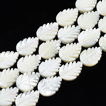 Natural Trochid Shell/Trochus Shell Beads Strands, Bleach, Leaf, White, 17.5~18x13x4mm, Hole: 0.8mm, about 23pcs/strand, 16.02 inch~16.14 inch(40.7~41cm)