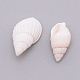 Natural Conch Shell Beads(SSHEL-WH0001-29)-2
