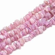 Freshwater Shell Beads Strands, Dyed, Chip, Plum, 4~14x4~8x1~8mm, Hole: 1mm, about 210~250pcs/strand, 31.4 inch(SHEL-S270-19)
