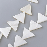Natural Freshwater Shell Beads Strands, Triangle, Creamy White, 18x20~21.5x3~3.5mm, Hole: 1mm, about 21pcs/strand, 14.37 inch~14.96 inch(X-SHEL-Q008-40)