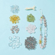 DIY Stretch Bracelet Making Kit, Including Natural Mixed Gemstone Chips & Plastic Round & Alloy Heart & Acrylic Rectangle Beads, Nylon Thread Cord(DIY-FS0003-87)