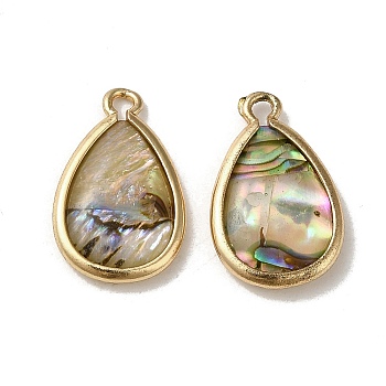Natural Paua Shell Resin Pendants, with Brass Findings, Teardrop Charms, Golden, 18x11.5x3mm, Hole: 1.6mm