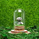 стеклянный купол с натуральным грибом далматинской яшмы внутри(BOHO-PW0001-085B)-1