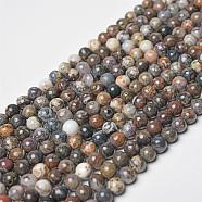 Natural Pietersite Strands, Round, 6mm, Hole: 1mm, about 65pcs/strand, 15.6 inch(39.5cm)(G-O183-06B)