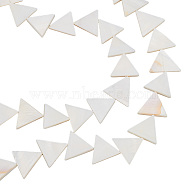BENECREAT 2 Strands Natural Freshwater Shell Beads Strands, Triangle, Antique White, 18x20~21.5x3~3.5mm, Hole: 1mm, about 21pcs/strand, 14.37~14.96 inch(36.5~38cm)(BSHE-BC0001-14)