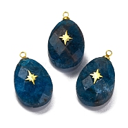 Natural Apatite Pendants, Faceted Egg Shaped Charms with Rack Plating Golden Plated Brass Slices, Lead Free & Cadmium Free, 21x12.5x8mm, Hole: 1.5mm(G-B089-01G-03)