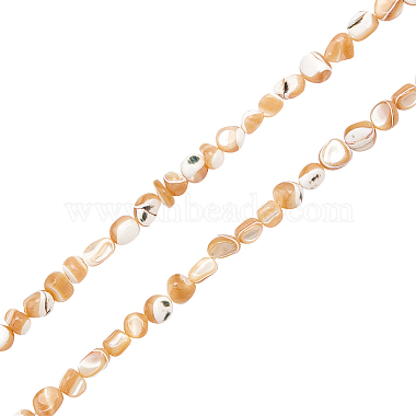 6mm Chip Trochus Shell Beads