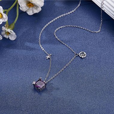925 Sterling Silver Zircon Pendant Necklace 12 Constellation Pendant Necklace Jewelry Anniversary Birthday Gifts for Women Men(JN1088K)-4