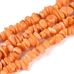 Dyed Natural Freshwater Shell Beads Strands, Nuggets, Coral, 2.5~9x7~22x7~9mm, Hole: 0.7~0.9mm, about 82~92pcs/strand, 14.76~15.55 inch(37.5~39.5cm)(BSHE-T014-55)
