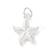 925 Sterling Silver Starfish Pendants, Sea Animal Charms, with Jump Rings, Starfish, 17x12x3.5mm, Hole: 3.7mm(STER-E071-02S-01)