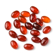 Natural Red Agate Cabochons, Oval, 6x4x2~2.5mm(G-A094-01A-02)