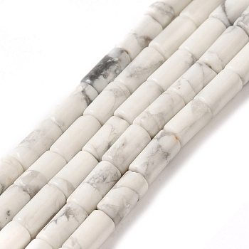 Natural Howlite Beads Strands, Column, 8x4mm, Hole: 0.7mm, about 48pcs/strand, 15.35~15.43''(39~39.2cm)