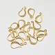 Brass Earring Hooks(X-KK-L137-02G-NR)-1