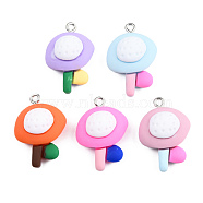 Opaque Resin Pendants, with Platinum Plated Iron Loops, Flower Charm, Mixed Color, 27~28x18.5~19x9mm, Hole: 2mm(CRES-N022-181)