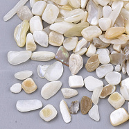 Freshwater Shell Beads, Undrilled/No Hole Beads, Chip, Seashell Color, 1~16x1~5x0.5~5mm(SHEL-S266-11)
