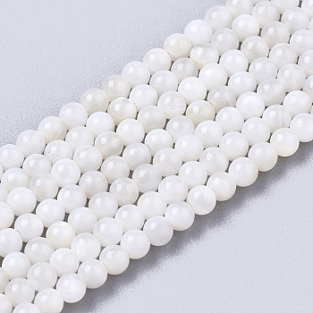 Natural Freshwater Shell Beads Strands, Dyed, Round, Floral White, 2.5mm, Hole: 0.7mm, about 150~190pcs/Strand, 14.96 inch~15.75 inch
