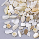 Freshwater Shell Beads(SHEL-S266-11)-1