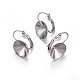 201 Stainless Steel Leverback Earring Findings(X-STAS-P210-29P)-1