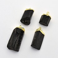 Golden Tone Brass Tourmaline Pendants, Black, 26~46x16~28x11~25mm, Hole: 5x7mm(G-J264-04)