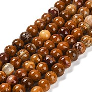 Natural Wood Lace Stone Beads Strands, Round, 6~6.5mm, Hole: 0.8mm, about 64pcs/strand, 15.47~15.55''(39.5cm)(G-B128-A04-02)