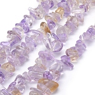 Natural Ametrine Beads Strands, Grade B, Chip, 5~8mm, Hole: 1mm, about 33 inch(84cm)(G-P332-49B)