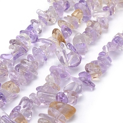 Natural Ametrine Beads Strands, Grade B, Chip, 5~8mm, Hole: 1mm, about 80~81cm(G-P332-49B)