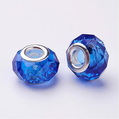 Handmade Glass European Beads(GPDL25Y-24)-2
