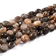 Natural Black Sunstone Beads Strands, Nuggets, Tumbled Stone, 8~11x7.5~9x4.5~7mm, Hole: 0.8mm, about 42pcs/strand, 15.94''(40.5cm)(G-G018-03A)