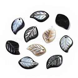 Natural Black Lip Shell Pendants, Leaf, 15~16x9~10x2mm, Hole: 1mm(SSHEL-S258-100A)